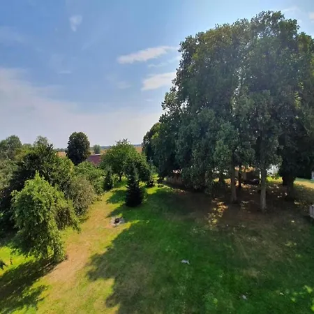 Geraeumige In Mit Garten, Cleaning Included Apartment *